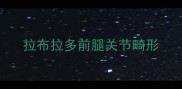 拉布拉多前腿关节畸形