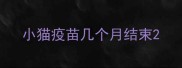 小猫疫苗几个月结束