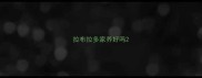 拉布拉多家养好吗