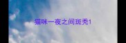 猫咪一夜之间斑秃