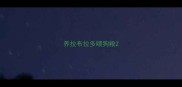 养拉布拉多喂狗粮