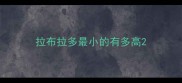 拉布拉多最小的有多高