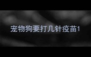宠物狗要打几针疫苗