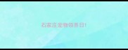 石家庄宠物领养日