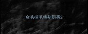 金毛掉毛特别厉害