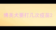 博美犬要打几次疫苗