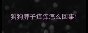 狗狗脖子痒痒怎么回事