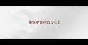 猫咪绝育伤口发炎