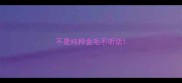 不是纯种金毛不听话