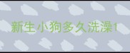 新生小狗多久洗澡
