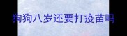 狗狗八岁还要打疫苗吗