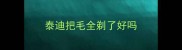 泰迪把毛全剃了好吗