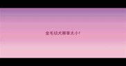 金毛幼犬脚掌太小