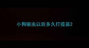 小狗驱虫以后多久打疫苗