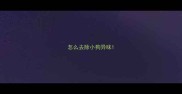 怎么去除小狗异味