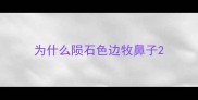 为什么陨石色边牧鼻子