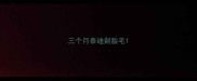 三个月泰迪剃胎毛