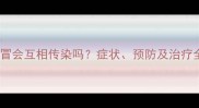 猫咪感冒会互相传染吗症状预防及治疗全攻略