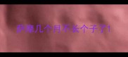 萨摩几个月不长个子了