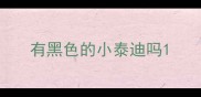 有黑色的小泰迪吗