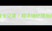 2月龄小狗发育全记录超详细护理指南新手必看