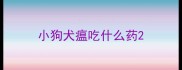 小狗犬瘟吃什么药