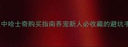 汉中哈士奇购买指南养宠新人必收藏的避坑手册