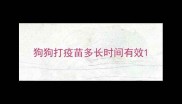 狗狗打疫苗多长时间有效