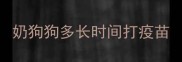 奶狗狗多长时间打疫苗