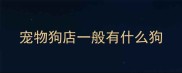 宠物狗店一般有什么狗