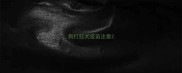 狗打狂犬疫苗注意