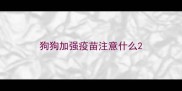 狗狗加强疫苗注意什么