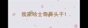 我家哈士奇鼻头干