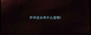 怀孕适合养什么宠物
