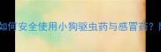 科学养护指南如何安全使用小狗驱虫药与感冒药附专业选药攻略