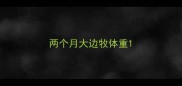 两个月大边牧体重