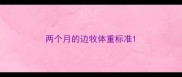 两个月的边牧体重标准