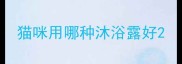 猫咪用哪种沐浴露好