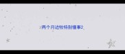 两个月边牧特别懂事