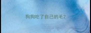 狗狗吃了自己的毛