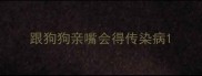 跟狗狗亲嘴会得传染病
