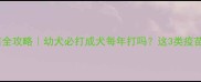 狗狗疫苗全攻略幼犬必打成犬每年打吗这3类疫苗别漏打