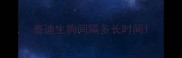 泰迪生狗间隔多长时间