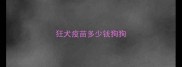 狂犬疫苗多少钱狗狗