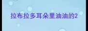 拉布拉多耳朵里油油的