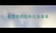 最漂亮的拉布拉多串串