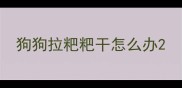 狗狗拉粑粑干怎么办