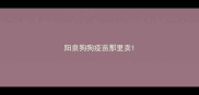 阳泉狗狗疫苗那里卖