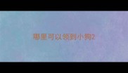 哪里可以领到小狗