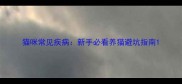 猫咪常见疾病新手必看养猫避坑指南